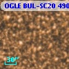 OGLE BUL-SC20 490953