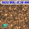 OGLE BUL-SC20 490985