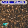 OGLE BUL-SC21      7