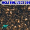 OGLE BUL-SC22 309504