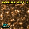 OGLE BUL-SC37     18