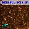 OGLE BUL-SC37 164587