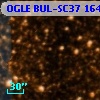 OGLE BUL-SC37 164625