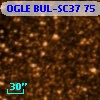 OGLE BUL-SC37     75