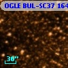 OGLE BUL-SC37 164639