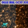 OGLE BUL-SC37 331055