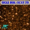OGLE BUL-SC37     79