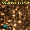 OGLE BUL-SC37     36