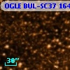 OGLE BUL-SC37 164607