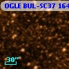 OGLE BUL-SC37 164609