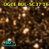 OGLE BUL-SC37 164658