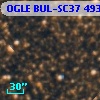 OGLE BUL-SC37 493975
