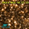 OGLE BUL-SC37    105