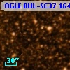 OGLE BUL-SC37 164671