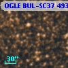OGLE BUL-SC37 493879