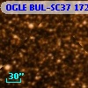 OGLE BUL-SC37 172116