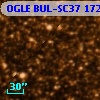 OGLE BUL-SC37 172113