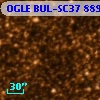 OGLE BUL-SC37   8891
