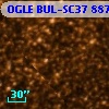 OGLE BUL-SC37   8877