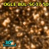 OGLE BUL-SC37 502844