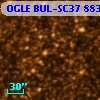 OGLE BUL-SC37   8833