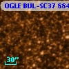 OGLE BUL-SC37   8843