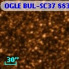 OGLE BUL-SC37   8832