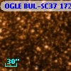 OGLE BUL-SC37 172156