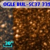OGLE BUL-SC37 339443