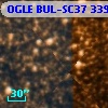 OGLE BUL-SC37 339420