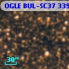 OGLE BUL-SC37 339492