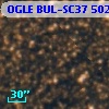 OGLE BUL-SC37 502801