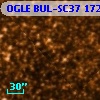 OGLE BUL-SC37 172184