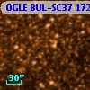 OGLE BUL-SC37 172175