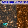 OGLE BUL-SC37 339526