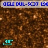 OGLE BUL-SC37  19098