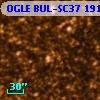 OGLE BUL-SC37  19110