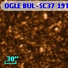 OGLE BUL-SC37  19112