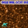 OGLE BUL-SC37 181470