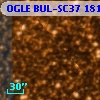 OGLE BUL-SC37 181483