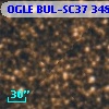 OGLE BUL-SC37 348753