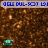 OGLE BUL-SC37  19123