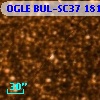 OGLE BUL-SC37 181435