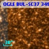 OGLE BUL-SC37 348717