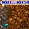OGLE BUL-SC37 348706