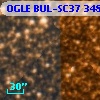 OGLE BUL-SC37 348707