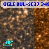 OGLE BUL-SC37 348788
