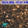 OGLE BUL-SC37 348714