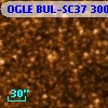 OGLE BUL-SC37  30073