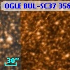 OGLE BUL-SC37 358864
